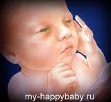 26 тиждень вагітності