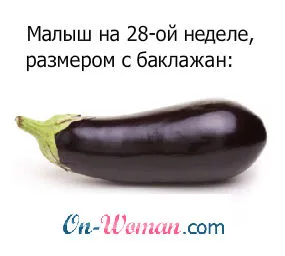 28 тиждень вагітності фото