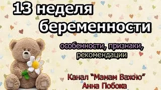вагітність 13 тиждень