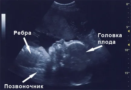 відчуття