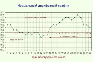 базальна температура в перші дні вагітності