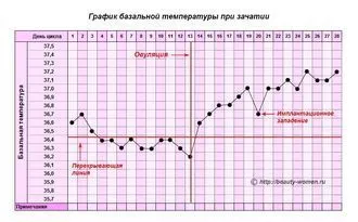 графік базальної температури при вагітності приклад