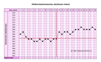 графік базальної температури при вагітності приклад