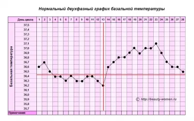 графік базальної температури при вагітності приклад