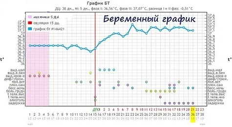 Базальна температура 37 8 вагітності 8 тиждень вагітності температура 37