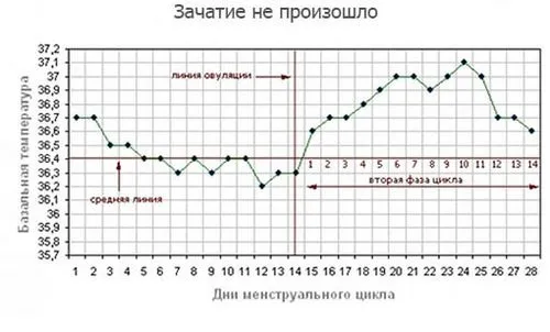 вагітність