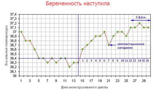 вагітність