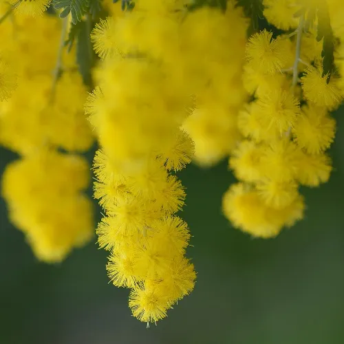 Вагітність від а до я вагітність від а до я