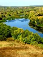 вагітна це