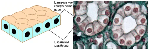 методична розробка