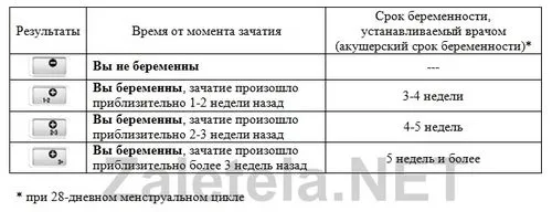 як користуватися тестом на вагітність
