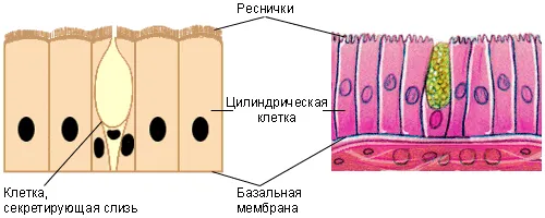 методична розробка