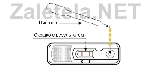 як користуватися тестом на вагітність