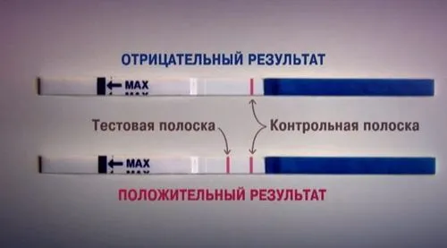 як правильно робити тест на вагітність