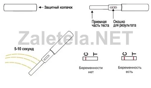 як користуватися тестом на вагітність