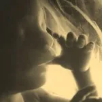 П'ятий місяць вагітності 23 тижні вагітності