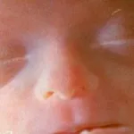 П'ятий місяць вагітності 23 тижні вагітності