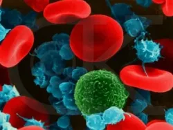 Норма гемоглобіну у вагітних жінок дітей чоловіків вагітні