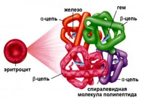 Наслідки низького гемоглобіну низький гемоглобін у вагітних наслідки