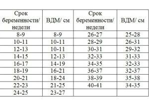 розмір матки на 2 тижні вагітності