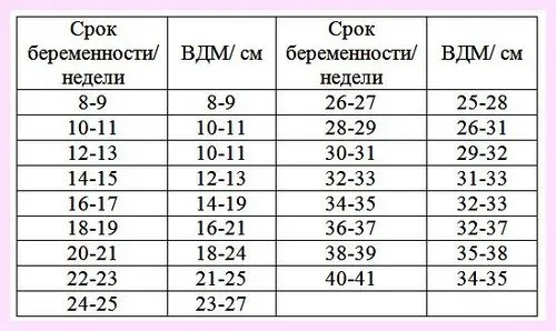 шийка матки під час вагітності норма