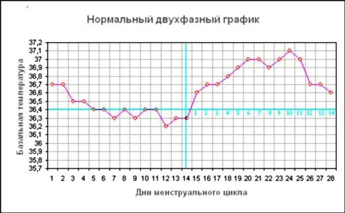 ознаки вагітності перед місячними