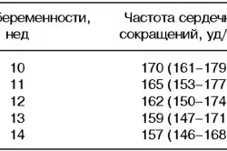 перший по підлозі