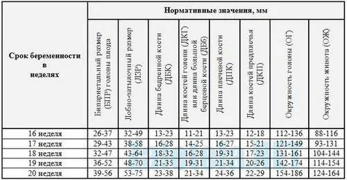 таблиця вагітності по тижнях