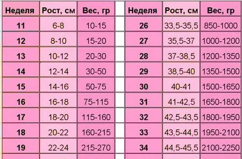 таблиця вагітності по тижнях