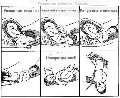 ознаки початку другого періоду пологів