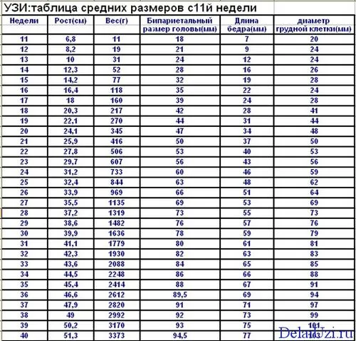 22 тиждень вагітності узі