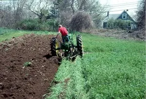 Primăvară gunoi de grajd verde pentru cartofi, roșii și castraveți în seră cu videoclipul de instrucțiuni