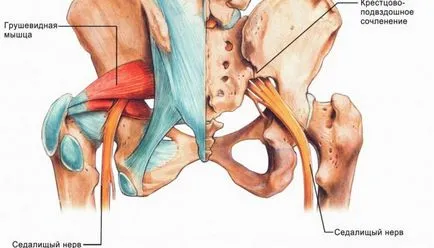 Simptom Lasegue osteocondrozei și alte boli care este