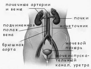 іншу