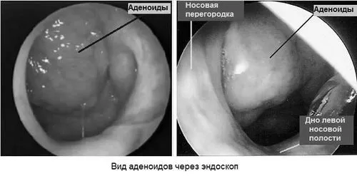 дорослих