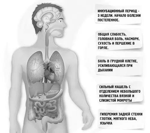 антибіотики