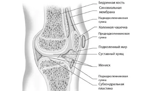 лікування