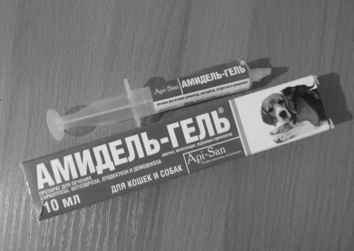 кішки