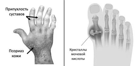 домашніх