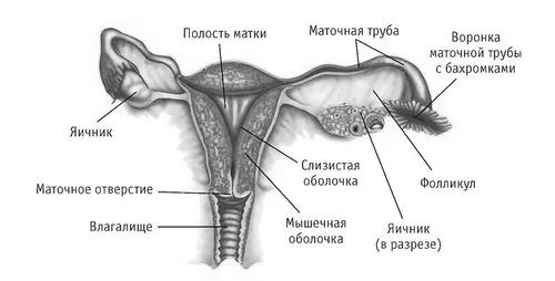 uuu.in.ua 
