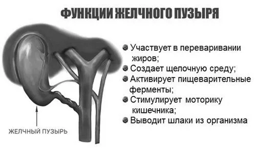 як лікувати печінку якщо видалений жовчний міхур