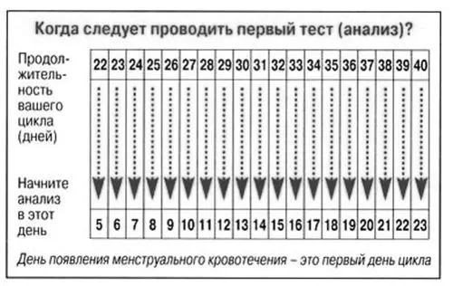 жінок