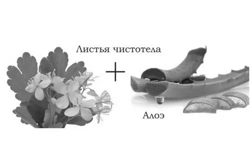домашніх