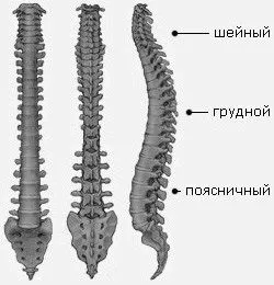мазями