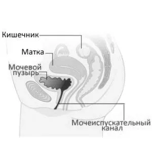 можна