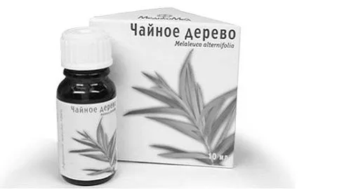 будинку