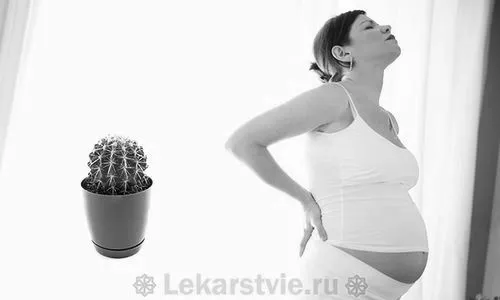геморой