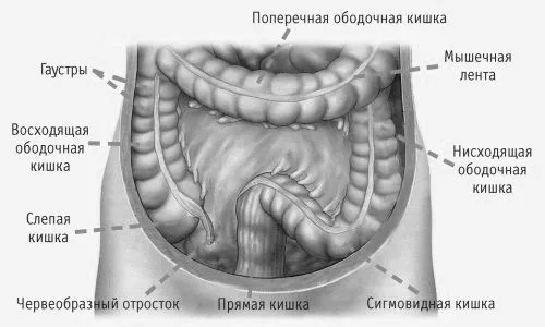 прищів