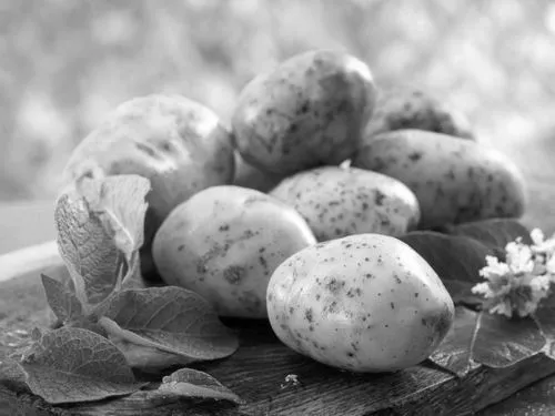 як лікувати кісткову мозоль в домашніх умовах