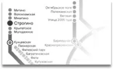 Який лікар лікує варикоз? лікар